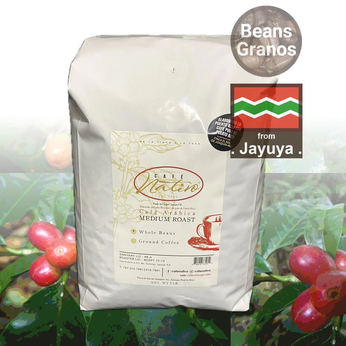 Café Nativo Gourmet Coffee Beans 5 Pound