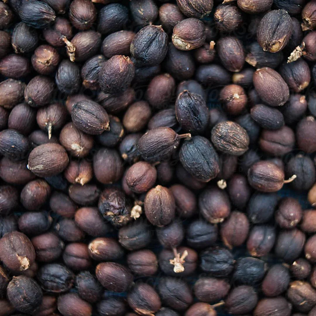 Café Terrafé Ground Coffee: Alquimia Natural Process - Image 2