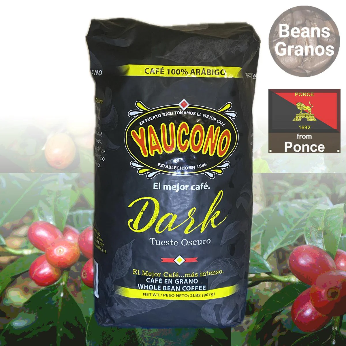 Café Yaucono Dark Coffee Beans