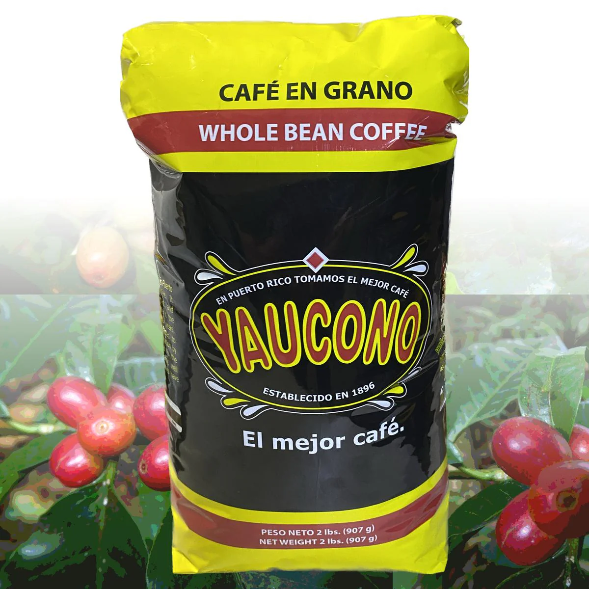Café Yaucono Puerto Rican Coffee Beans 2 lb Bulk Pack - 8 Units - Image 2