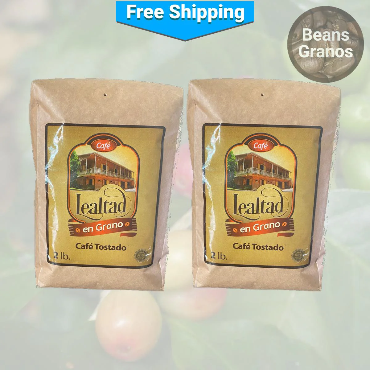 Café Hacienda Lealtad Gourmet Coffee Beans - Image 3