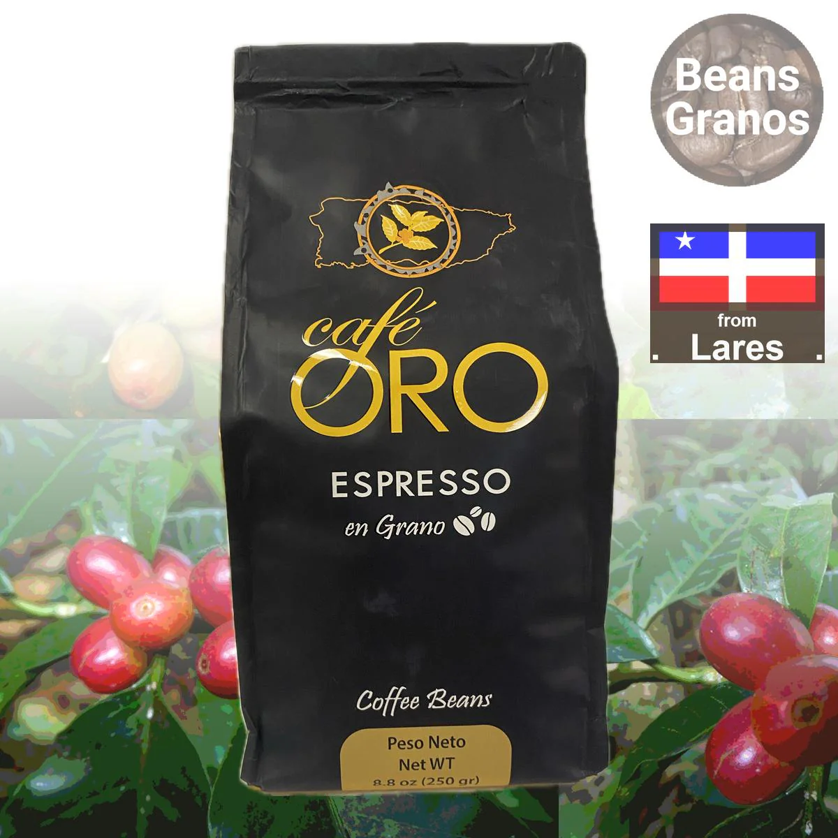 Café Oro Espresso Coffee Beans - Image 5